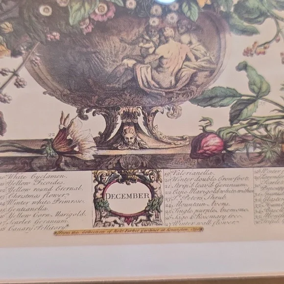 Robert Furbe's Twelve Months Of Flowers Framed Floral Art Print with Gold Frame - Picture 4 of 11